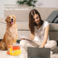 2-in-1 Interactief Hond Puzzel Speelgoed & Langzaam Voerbak