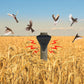 🔥Laatste dag uitverkoop 50% UIT ✨Waterdichte Vogelverjager voor Buiten op Zonne-Energie