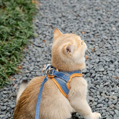 🎄 Black Friday Sale — 50% KORTING • Comfortabel & Reflecterend Kattenharnas 🎁