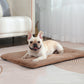 Zelfverwarmende Honden- & Kattenmat – Warmte zonder stroom 🔥🐾