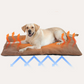 Zelfverwarmende Honden- & Kattenmat – Warmte zonder stroom 🔥🐾