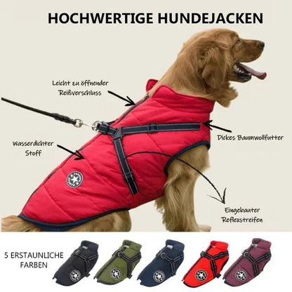 ❄️ Nat & Koud Weer? Geen Probleem! Multifunctionele Hondenjas – Warm, Waterdicht & Comfortabel